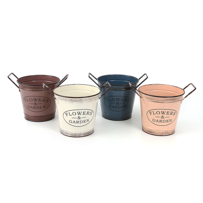 Cross-Border Hot Selling Candy Color Printed Loge Iron Bucket Succulent Potted Flower Iron Bucket Simulation Plant Metal Flower Pot