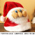 Plush Christmas Hat Christmas Decoration Adult Cartoon Christmas Hat Children's Gift Douyin Anchor