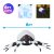 2022 Amazon New Halloween Spider Inflatable Model Party Gathering Led Colored Lamp Spider Courtyard Decoration Inflatable Model