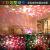 Foreign Trade New Bluetooth Audio Dream Projector Christmas Star Light KT-C Led Seven-Color Lights KTV Colorful Light