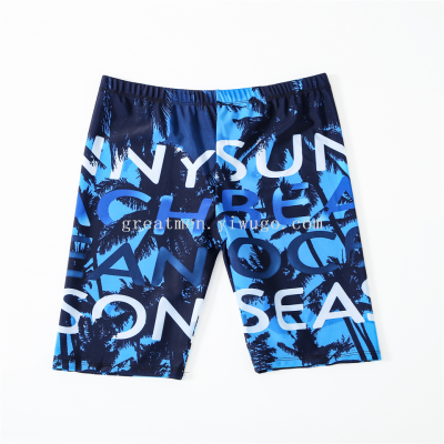 New Swimming Trunks Factory Wholesale Weimen Polyester Men's Boxer Swimming Trunks Printed Swimming Trunks 