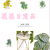 Artificial/Fake Flower Bonsai Iron Frame Basin Variety of Green Leaf Decoration Ornaments