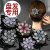 [Multiple Multi-Color] Korean Elegant Updo Large Diamond-Embedded Hair Claw Headdress Female Adult Three-Tooth Duckbill Clip Wholesale