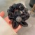 2022 New Headdress Large Intestine Hair Ring Organza Hairtie Internet Hot Simple All-Match Spring and Summer Hair Rope Hair Accessories