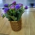 Imitation Rattan Small Flower Basket, European Style Ornaments,