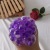 Decompression Vent Grape Ball Colorful Beads Creative Decompression Strange Squeezing Toy Direct Selling Small Toys Children's Gifts