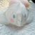 Xiaohongshu Same Style Sanrio Cinnamoroll Babycinnamoroll Blush Children's 3D Dust Mask Disposable Cute Middle and Big Children Adult