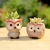 Amazon Sources Succulent Plant Ceramic Owl Pot Small Breathable Ceramic Q Version Cartoon Animal Flower Pot