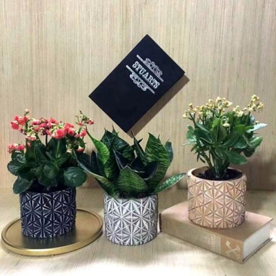 Nordic Style Ins Artistic Living Room Balcony Creative Indoor Decoration Plant Cement Potted Flower Pot