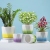 Ceramic Flower Pot Creative Gradient Ins Wind Belt Tray Home Balcony Green Radish Succulent Flower Pot Wholesale