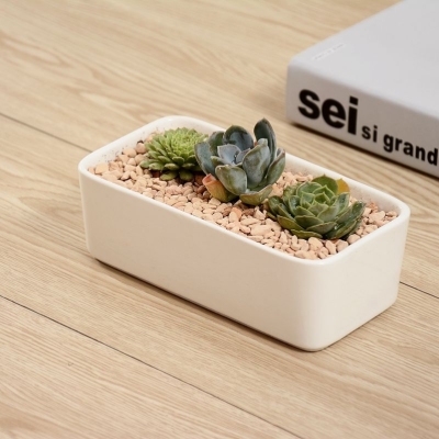 Popular Succulent Plant Ceramic Flower Pot Simple Succulent Flower Pot Creative Rectangular Basin White Porcelain Flower Pot HT