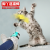 Amazon Pet Products New Cat Supplies Feet Toy Spring Cat Teaser Feather Cat Toy Wholesale