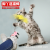 Amazon Pet Products New Cat Supplies Feet Toy Spring Cat Teaser Feather Cat Toy Wholesale