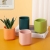 Square Colorful Morandi Flowers Green Radish Nordic Cylindrical Ceramic Flower Pot Indoor and Outdoor Succulent Pot Factory Wholesale