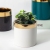 Modern Morandi Simple Indoor Straight Nordic Cylindrical Ceramic Light Luxury Gold Flower Pot Succulent Flowers Scindapsus Aureus Bonsai