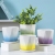 Ceramic Flower Pot Creative Gradient Ins Wind Belt Tray Home Balcony Green Radish Succulent Flower Pot Wholesale