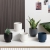 Nordic Simple Ins Modern Succulent Ceramic Flower Pot Simple Indoor Creative round Set Green Radish Light Luxury Flower Pot