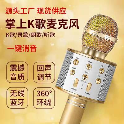 858 Bluetooth Microphone Mouthpiece Audio Integrated Microphone Sing Songs Artifact Children Karaoke Karaoke Microphone