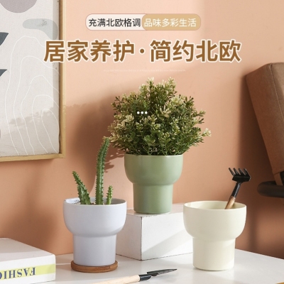 Nordic Macaron Ins Succulents Flower Pot Desktop Pot Small Flower Pot Container Home Creative Flower Pot Wholesale