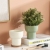 Nordic Macaron Ins Succulents Flower Pot Desktop Pot Small Flower Pot Container Home Creative Flower Pot Wholesale