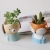 Home Furnishings Desktop Cartoon Bear Head Tilt Doll Breathable Painted Ceramic Succulent Plant White Pottery Small Flower Pot Indoor