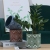 Nordic Cement Flower Pot Creative Domestic Furniture Indoor Decorations Cactus Succulent Pot Gardening Amazon