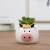 (Small Wholesale) Medium Temperature Ceramic Nordic Minimalist Style Hand Painted Cute Animal Flower Pot Domestic Ornaments