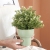 Nordic Macaron Ins Succulents Flower Pot Desktop Pot Small Flower Pot Container Home Creative Flower Pot Wholesale