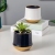 Creative Straight Ceramic Flower Pot Nordic Morandi Ceramic Flower Pot Golden Tray Green Plant Potted Flowers Green Radish