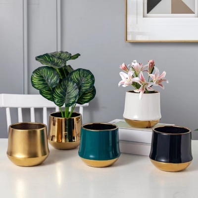 Creative Straight Ceramic Flower Pot Nordic Morandi Ceramic Flower Pot Golden Tray Green Plant Potted Flowers Green Radish