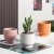 Nordic Simple Ins Modern Succulent Ceramic Flower Pot Simple Indoor Creative round Set Green Radish Light Luxury Flower Pot