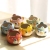 Japanese Style Groceries Zakka Hand-Painted Cute Sea Squab Hanging Basin Stoneware Breathable Lithops Succulent Bonsai