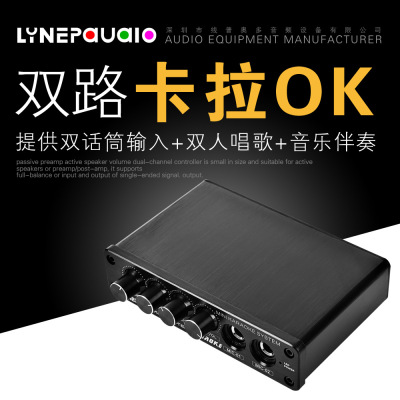 Linepauaio Factory Direct Sales Mini Karaoke Mixer with Mixing Function Dual Microphone