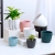 Ceramic Flower Pot Nordic Morandi Geometric Flower Pot Golden Tray Creative Straight Green Plant Stone Pattern Flowers Green Radish