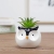 (Small Wholesale) Medium Temperature Ceramic Nordic Minimalist Style Hand Painted Cute Animal Flower Pot Domestic Ornaments