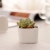 White Minimalist Creative Zakka Mini Ceramic Small Pot Succulent Flower Pot Small Square Gift Pot Factory Wholesale