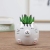 (Small Wholesale) Medium Temperature Ceramic Nordic Minimalist Style Hand Painted Cute Animal Flower Pot Domestic Ornaments