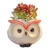 Amazon Sources Succulent Plant Ceramic Owl Pot Small Breathable Ceramic Q Version Cartoon Animal Flower Pot