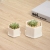 Simple White Porcelain Ceramics Flower Pot Porcelain Holder Creative Succulent Flower Pot White Ceramic Holder Factory/