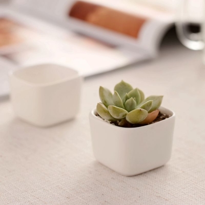 White Minimalist Creative Zakka Mini Ceramic Small Pot Succulent Flower Pot Small Square Gift Pot Factory Wholesale