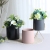 Ceramic Flower Pot round Color Creative European Containers for Plants and Flower Simple Personality Loungewear Suit Tray Flower Pot Ceramic