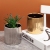 Nordic Medium Temperature Ceramic Flower Pot Wholesale round Pattern Colorful Golden Simple Indoor Modern Succulent Creative Green Plants