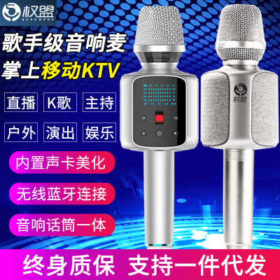 Microphone Built-in Audio Sound Card Integrated Microphone Wireless Bluetooth Outdoor Live Broadcast WeSing Wheat