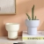 Nordic Macaron Ins Succulents Flower Pot Desktop Pot Small Flower Pot Container Home Creative Flower Pot Wholesale