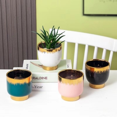 Nordic Simple Ins Modern Succulent Ceramic Flower Pot Morandi Indoor Golden Green Plant Green Radish Light Luxury Flower Pot