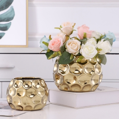 Nordic Style High-Grade Golden Phalaenopsis Flower Pot Hydrocotyle Succulent Flower Pot Home Furnishings Source