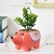 New Hedgehog flower pot