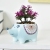 New Hedgehog Flower Pot