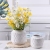 Modern Simple Flower Pot Home Furnishings Succulent Flower Pot Green Plant Flower Pot Factory Wholesale