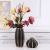 Nordic Style Black Gold Outline Ceramics Vase Home Ornament and Decoration Flower Vase Phalaenopsis Flower Pot